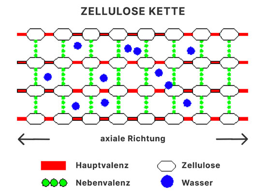 axiales Schwinden